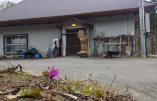 カタクリとお店