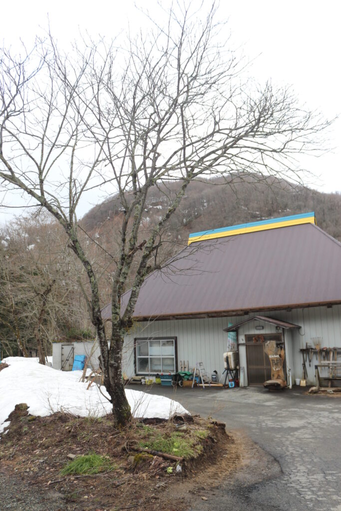 店と、店の前のナナカマドの木