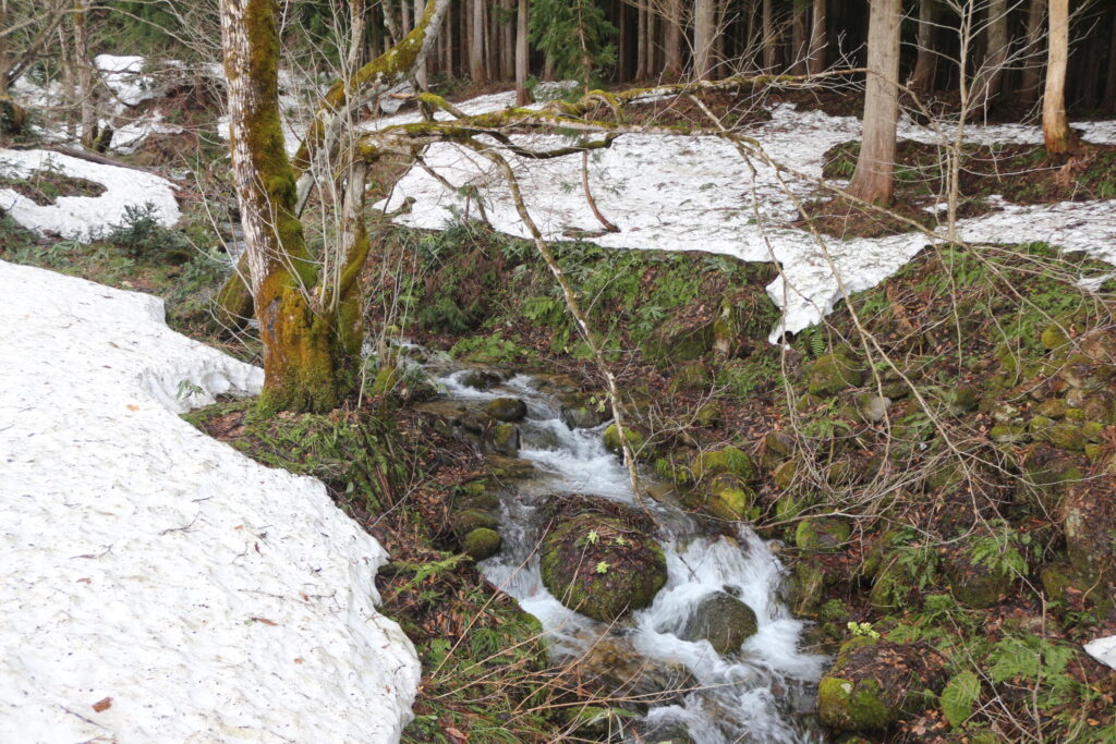 雪解け水が流れてます