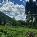 キッチン開、遠景