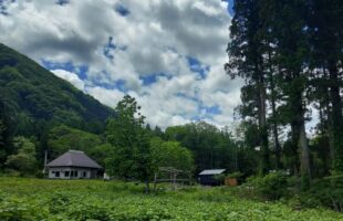 キッチン開、遠景