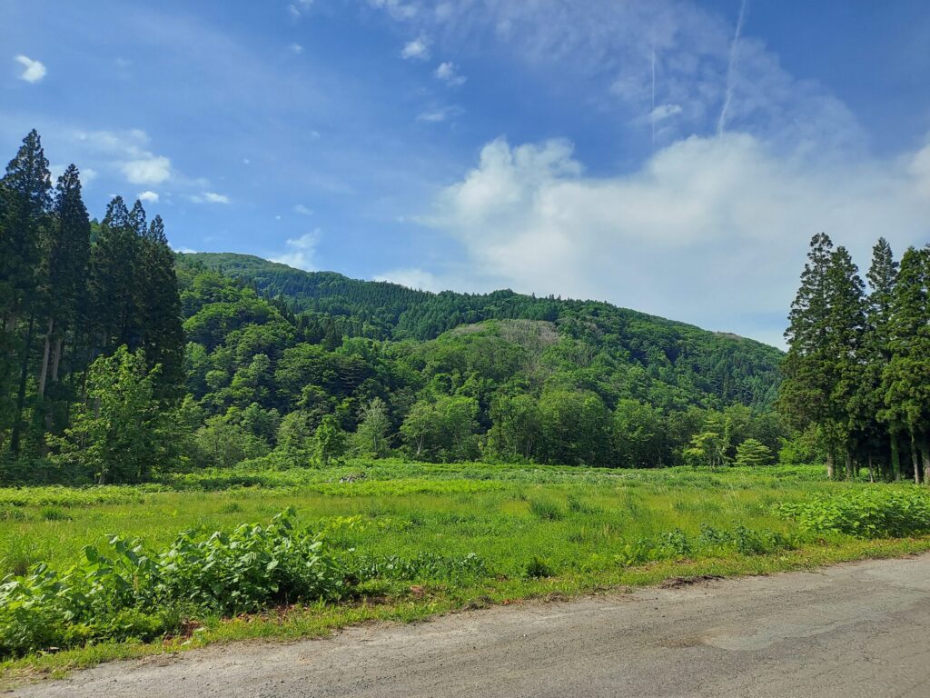 レストラン周辺の風景