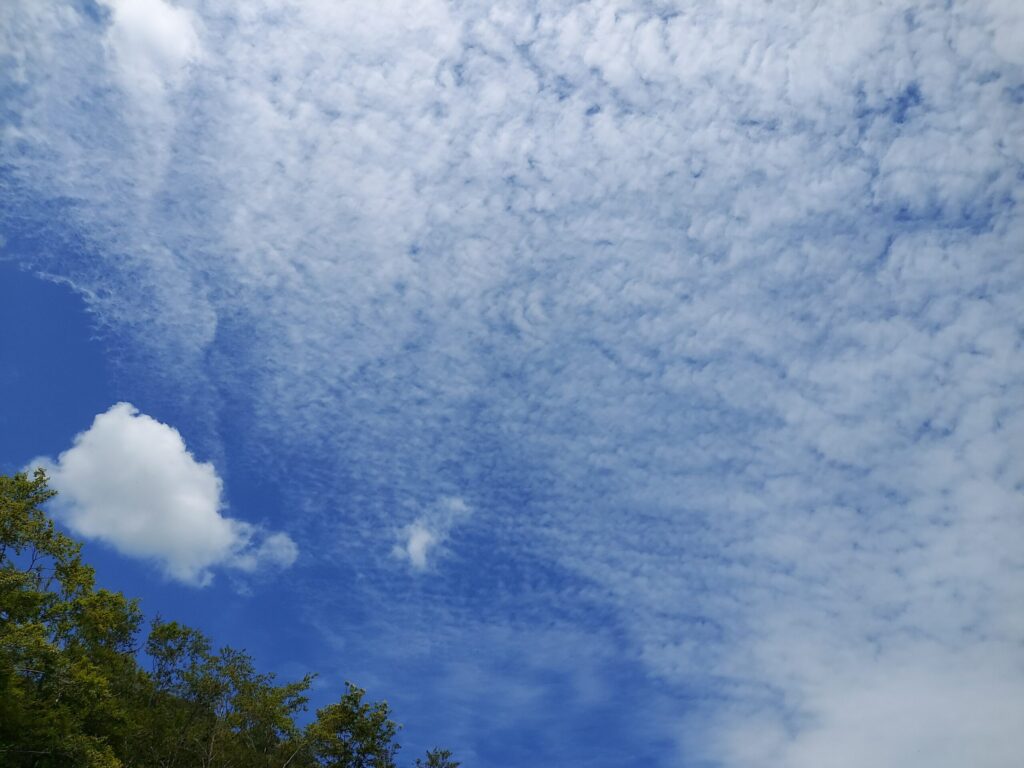 本日の空