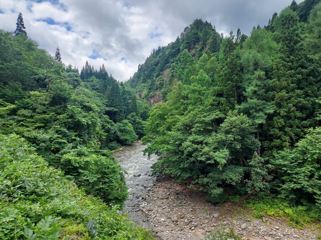 来る途中の川