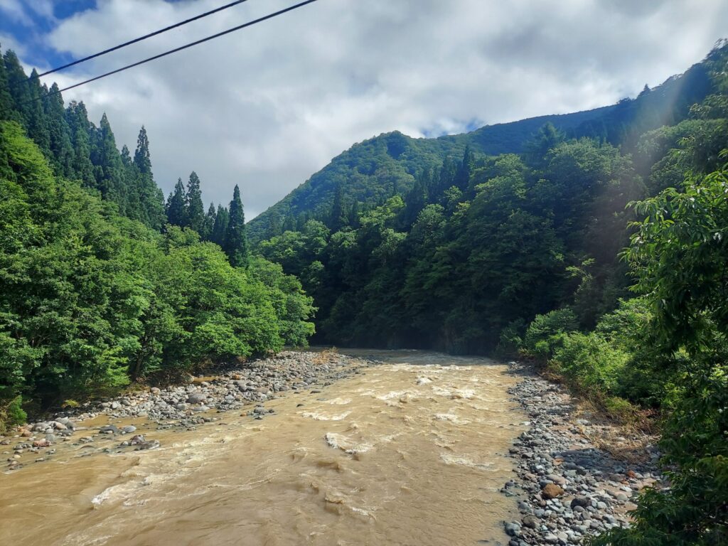川も茶色く濁っています