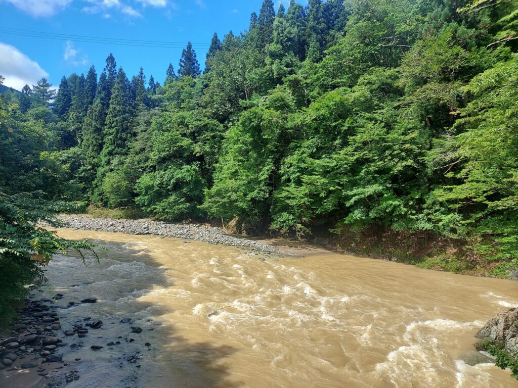 茶色く濁った川