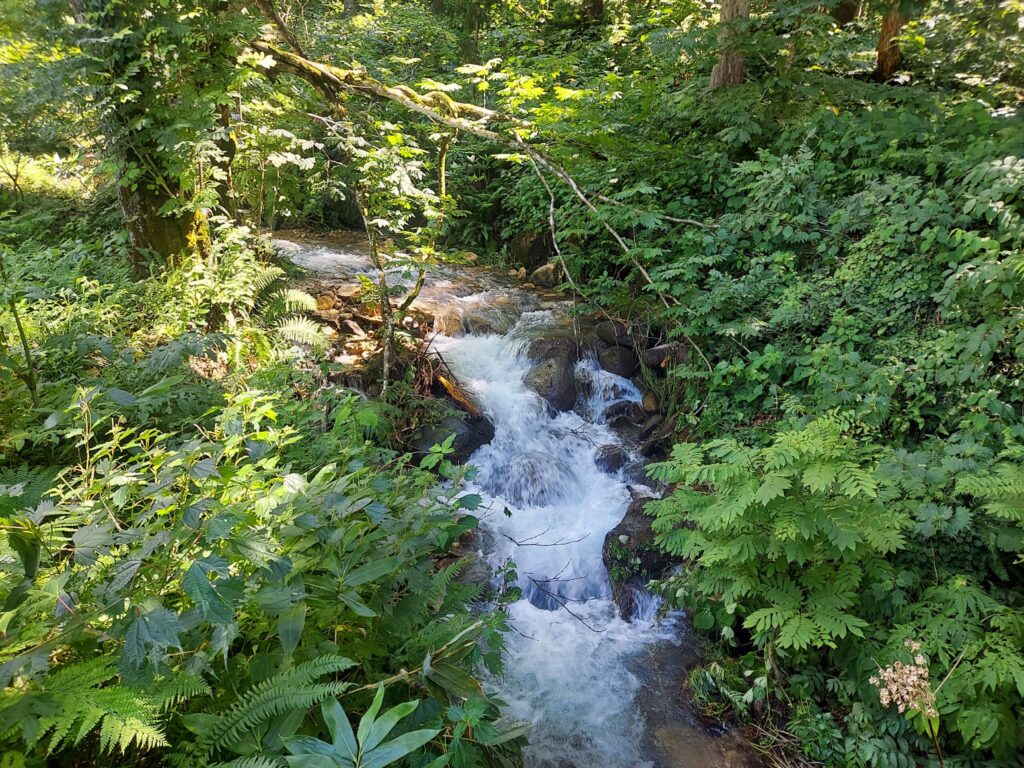 小川の流れも多め