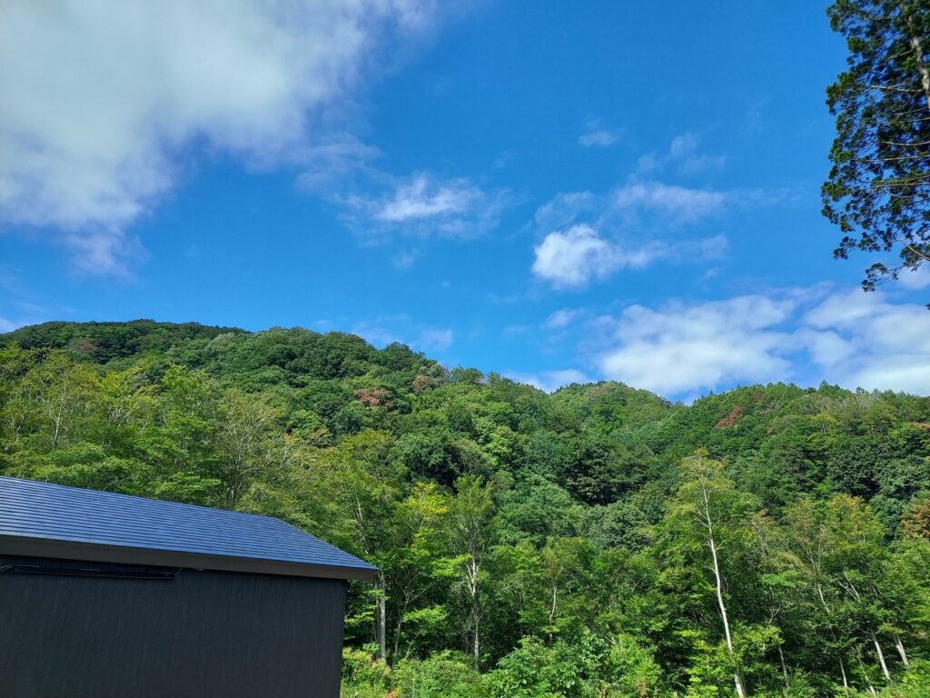 宿泊棟の裏の木々