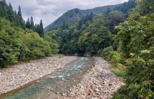 レストランへ来る途中の川の景色